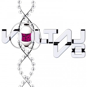 (2009) Voltaj - V8 - cover copy