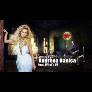 (2013) Andreea Banica feat. What's Up - In lipsa ta - cover
