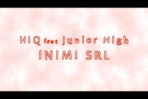 (2013) Hi-Q - Inimi SRL - cover