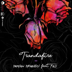 (2017) Damian Draghici feat. Feli - Trandafire - cover