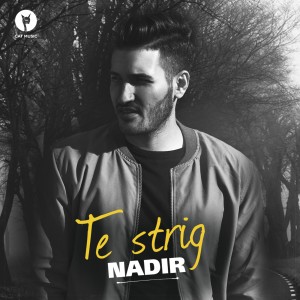 (2017) Nadir - Te Strig - cover