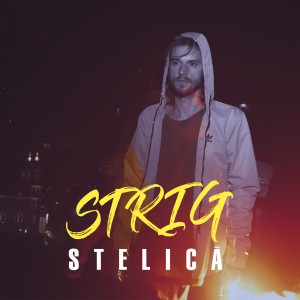 (2017) Stelica - STRIG - cover