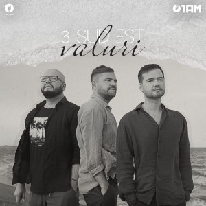 art-valuri