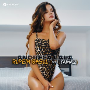 Cover _ Andreea Lala - Rupem Basul (feat