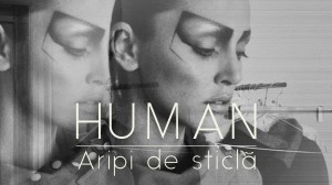 human #aripidesticla